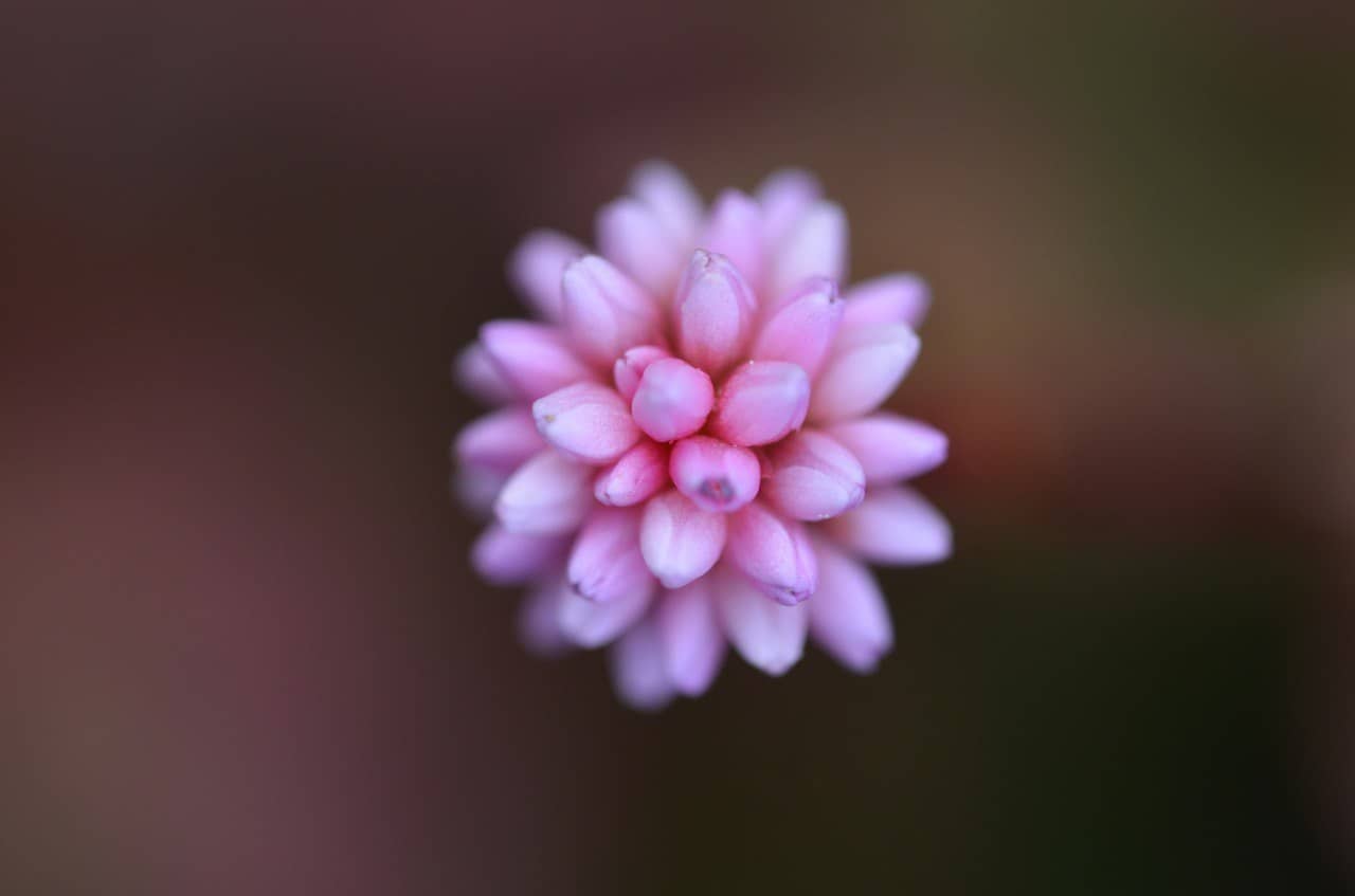 Joyería sostenible y de inspiración natural -Tejeluz.