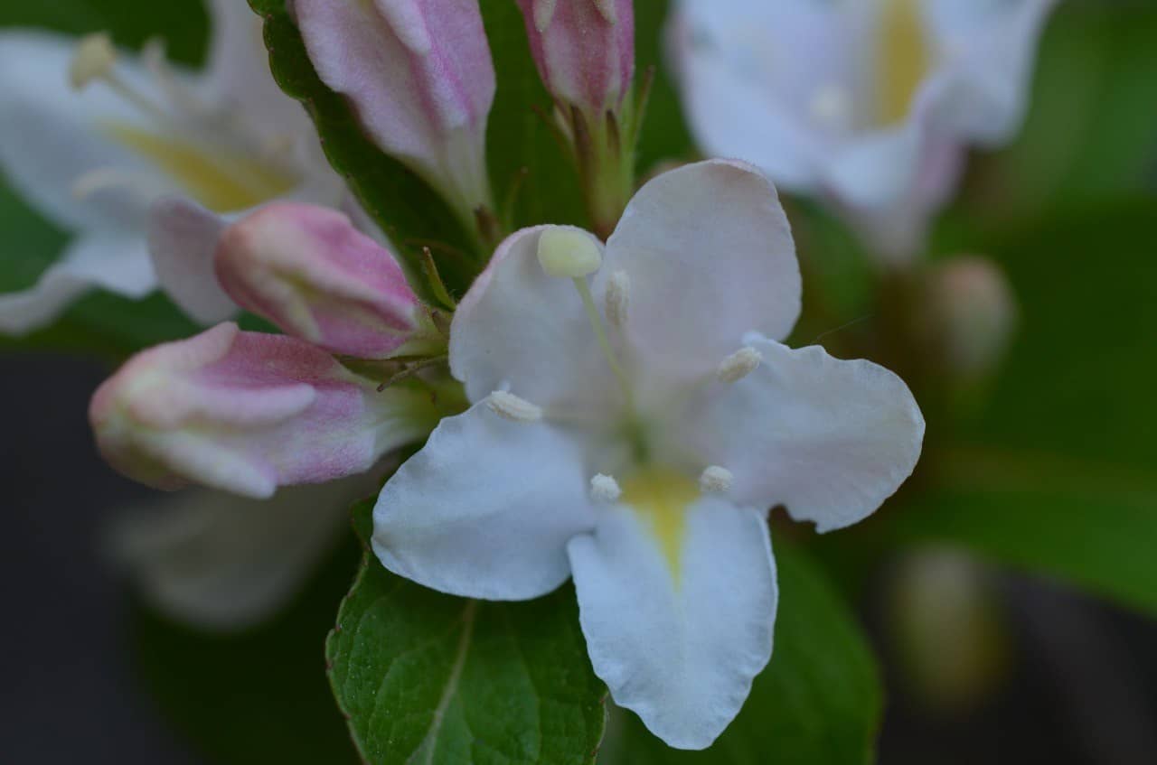 Joyería sostenible y de inspiración natural - Tejeluz